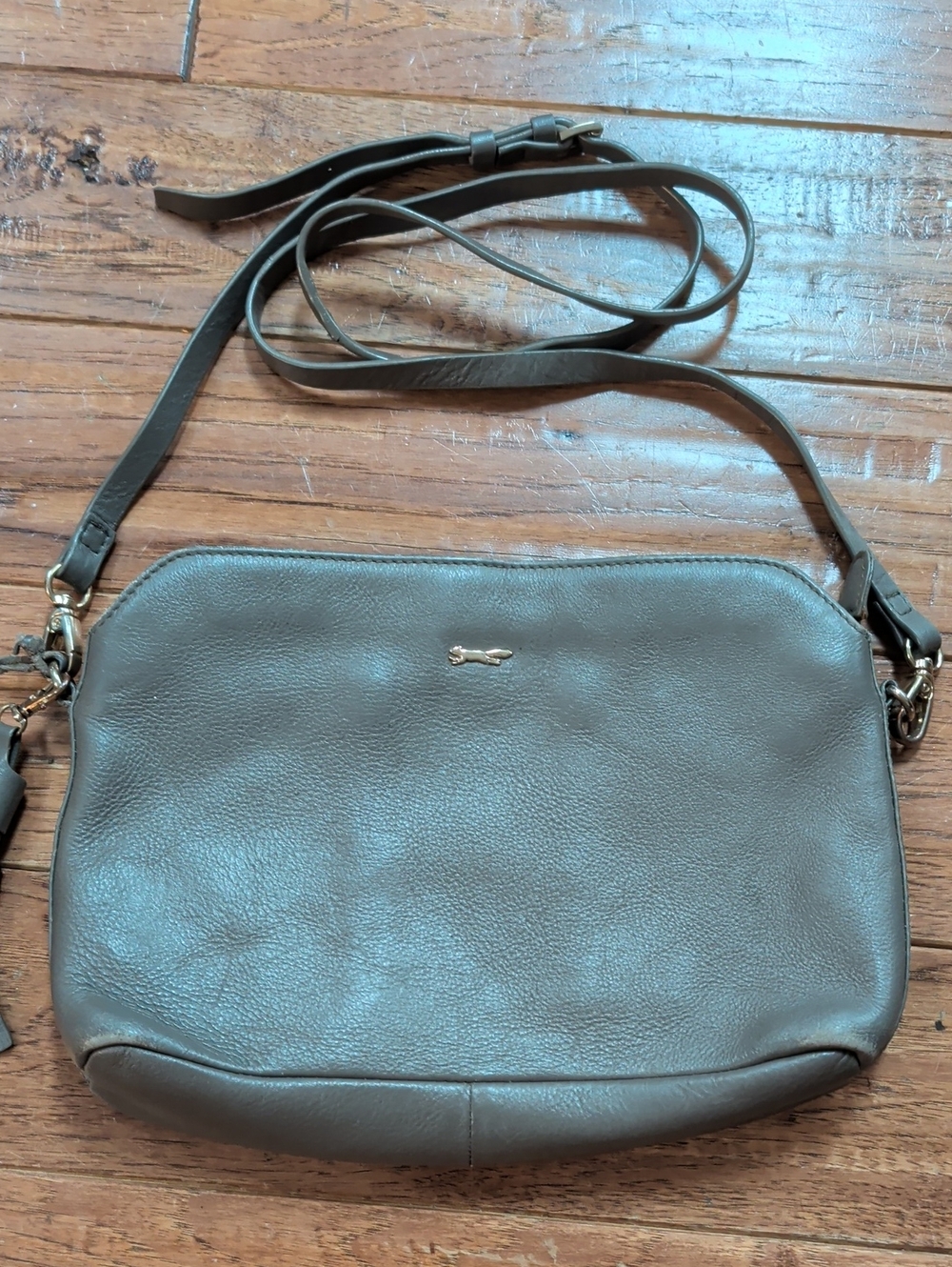 Paul Costelloe Leather Crossbody Bag in Taupe